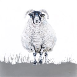 Ramitude by Vicky Palmer - Original Painting on Stretched Canvas sized 32x32 inches. Available from Whitewall Galleries